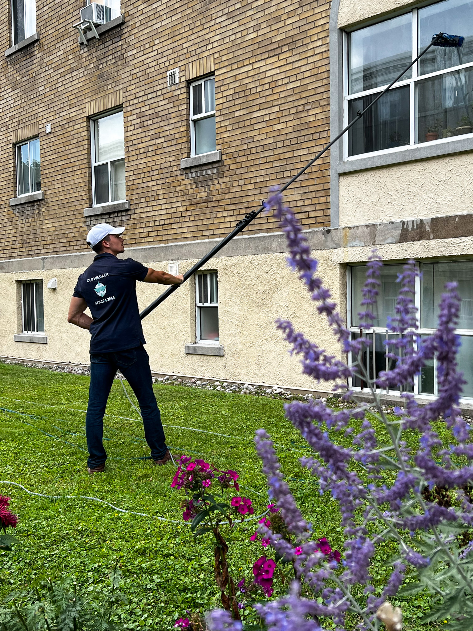Professional window cleaner using a Water Fed Pole connected to a 4-stage water purification system to clean the windows of a multi-story building, with vibrant flowers in the foreground.