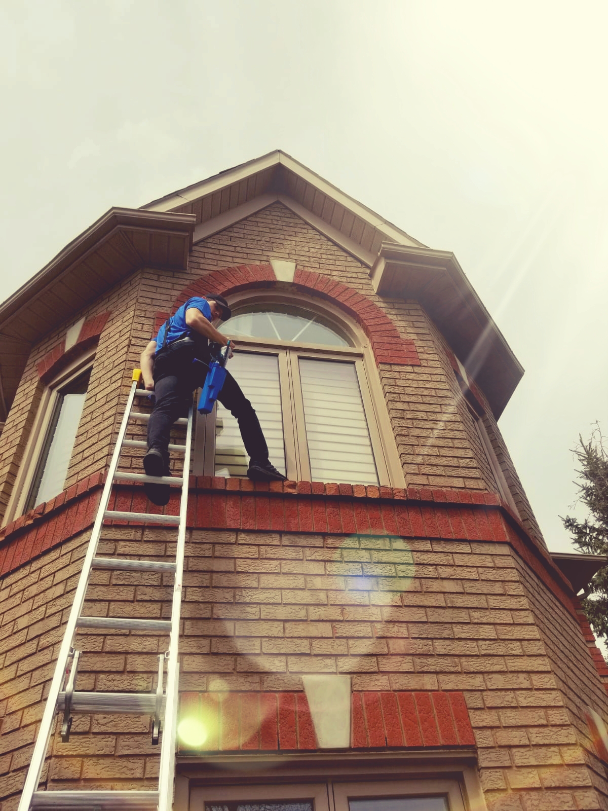 Professional window cleaner on a ladder, cleaning the upper windows of a residential home