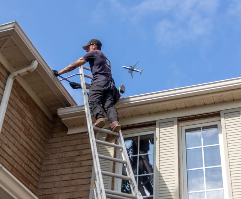 Outwash technician on a ladder at a roof gutter