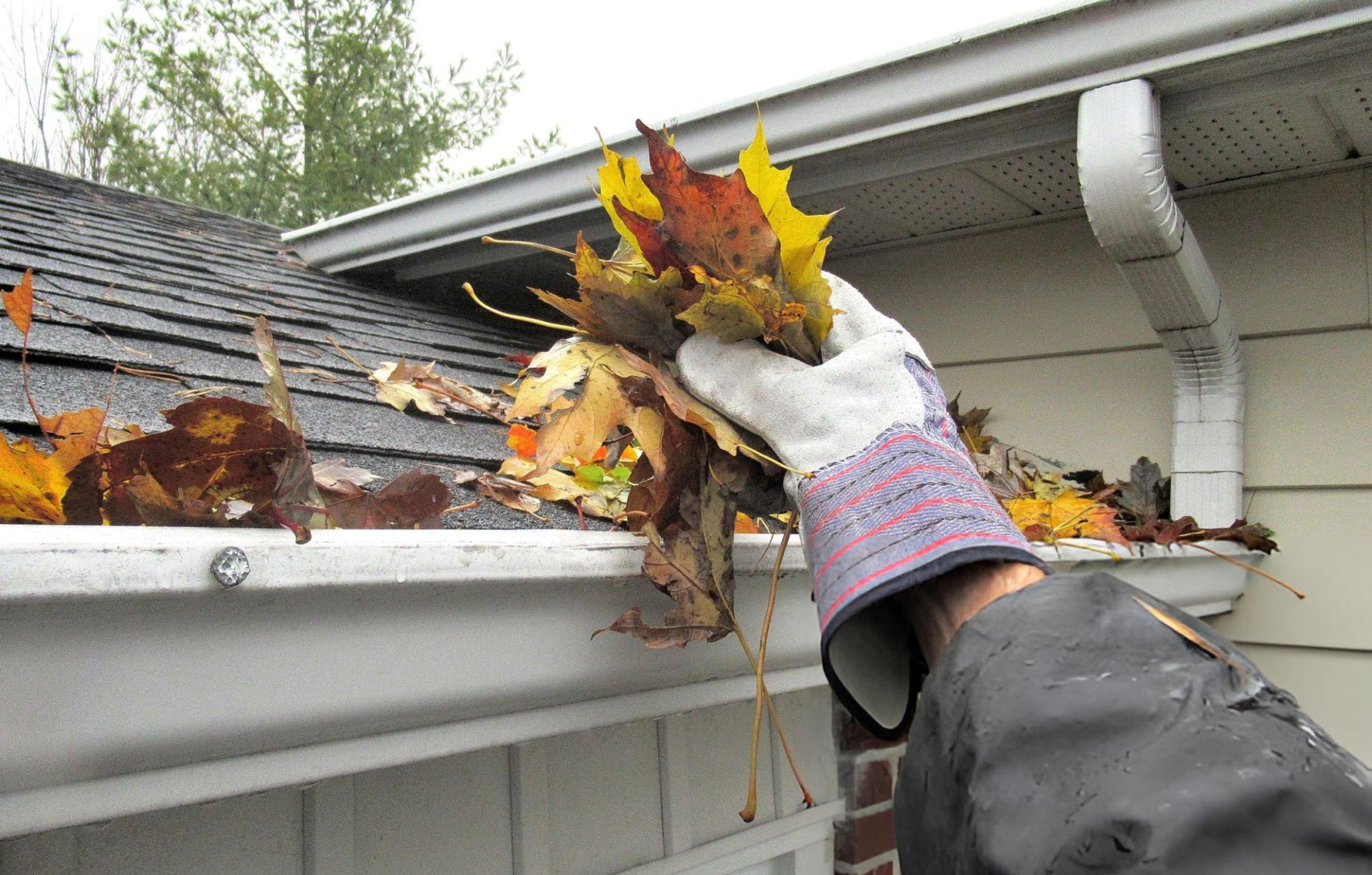 Residential Gutter Cleaning toronto